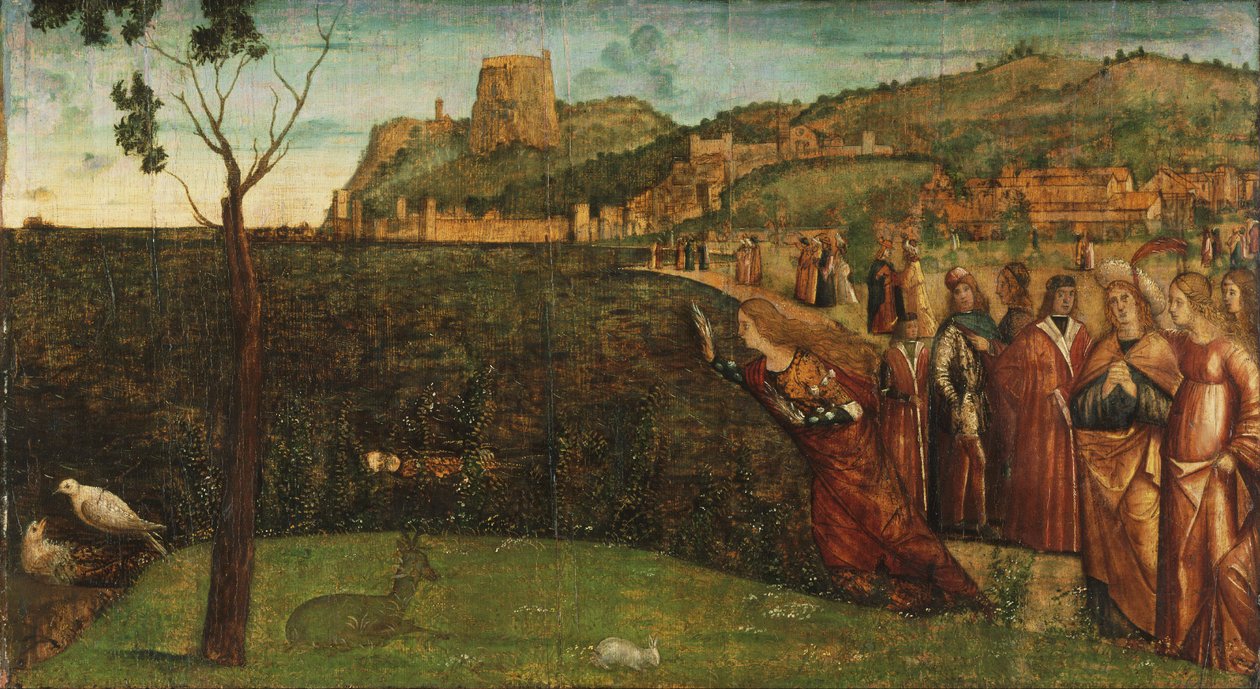 Carpaccio - Proměna Alkyony, asi 1502-1507 od Vittore Carpaccio