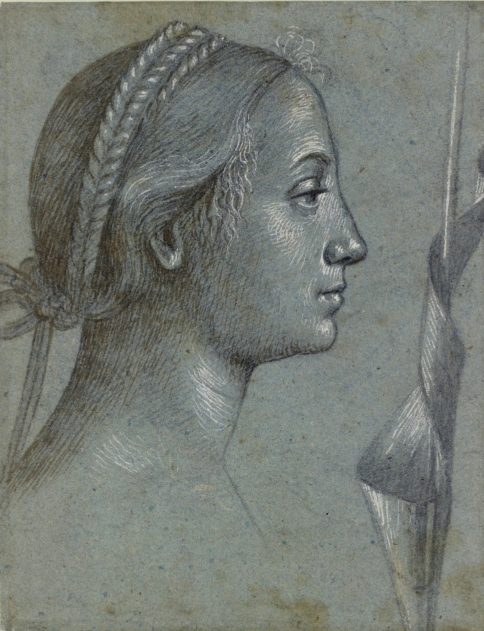 Hlava ženy s praporcem omotaným kolem tyče, konec 15. století od Vittore Carpaccio