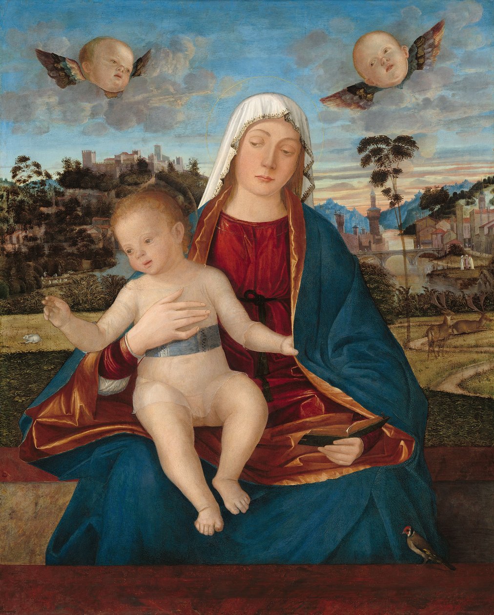 Madonna a dítě, cca 1505-10 (olej na topolovém panelu) od Vittore Carpaccio