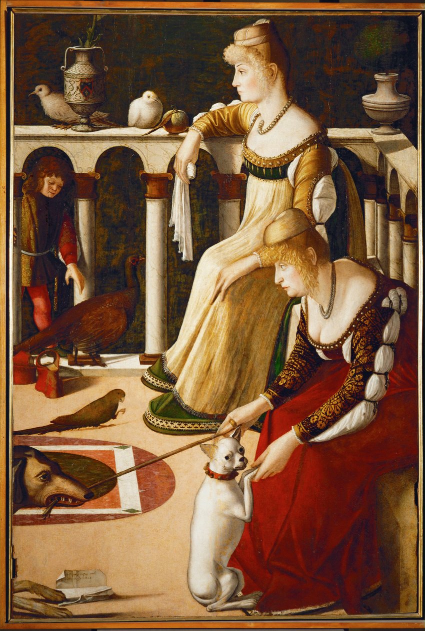  od Vittore Carpaccio