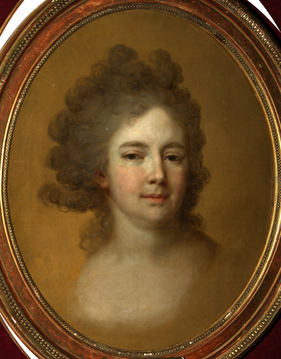 Portrét císařovny Marie Fjodorovny Sophie Dorothea z Württemberska 1759-1828, 1796 od Vladimir Lukich Borovikovsky