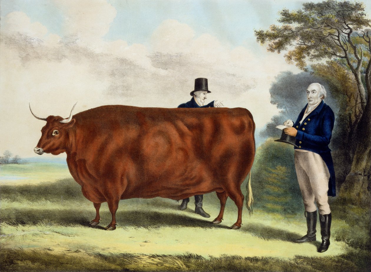 Portrét pana T.W. Coca Esq. a úředník Hilliard Esq. s North Devon Ox (barevné rytí) od W.H. Davis