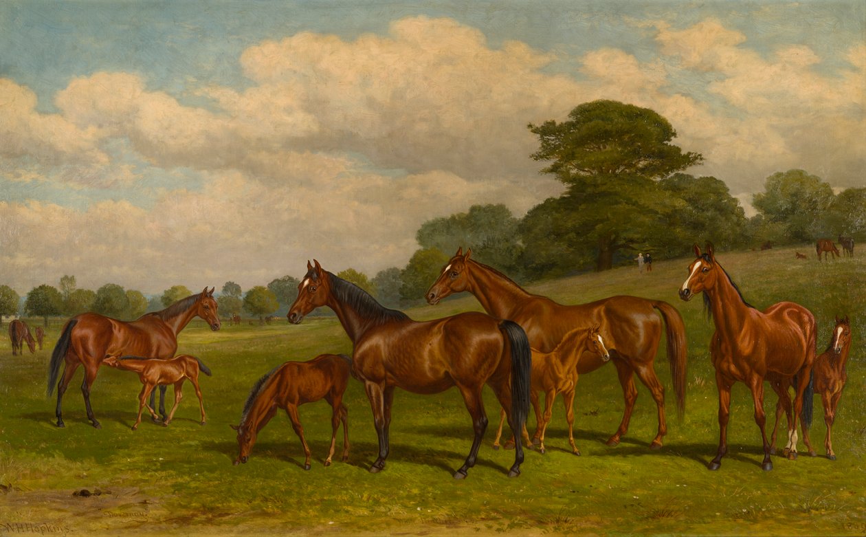 Klisny a hříbata, kolem roku 1892 (olej na plátně) od W.H. Hopkins