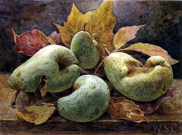 Lichá a Sudá (Hrušky) od W.S. Goodwin