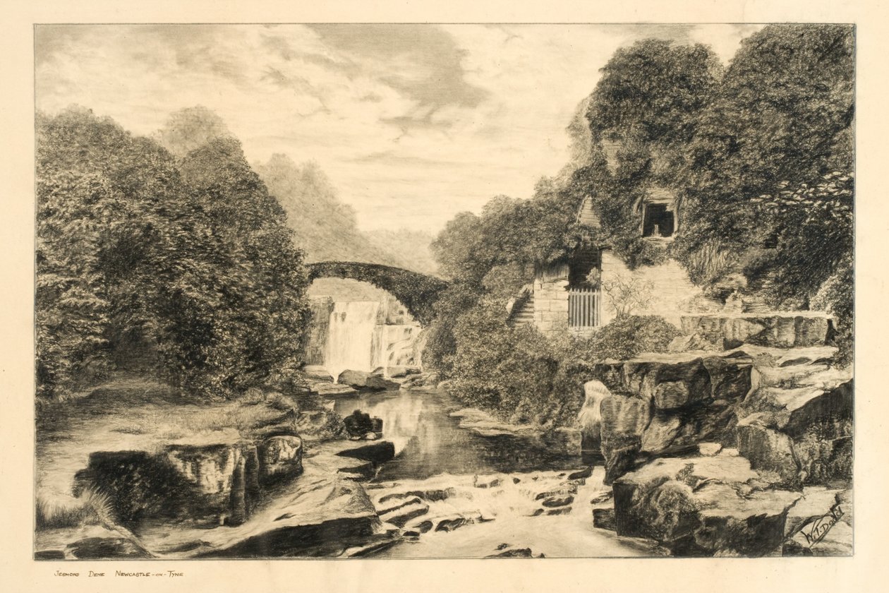 Jesmond Dene (křída a tužka na papíře) od W.T. Dodd