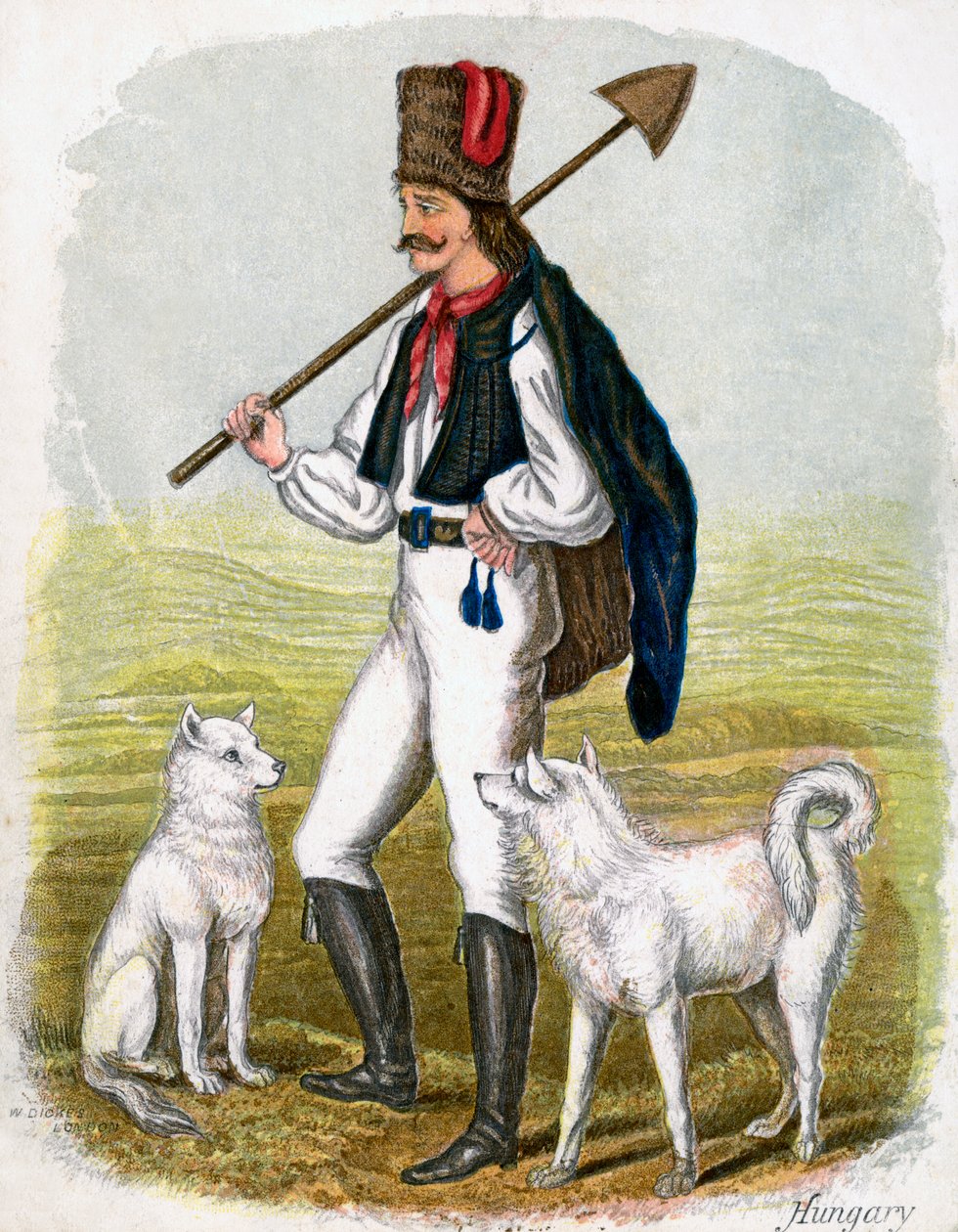 Maďarský muž se psy, 1809. od W. Dickes