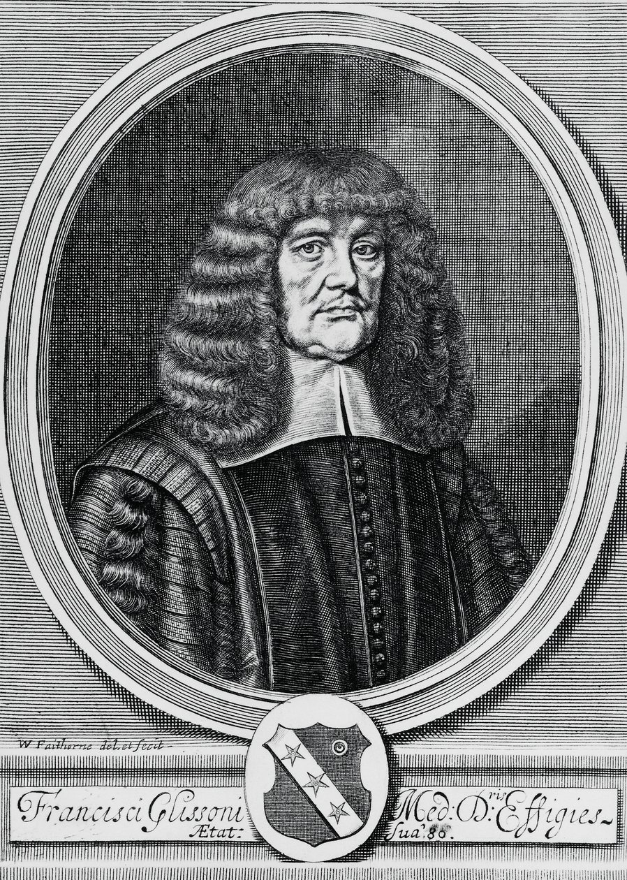 Portrét Francise Glissona (1597-1677), britského fyzika, anatoma a lékaře, rytina od John Ward Dunsmore