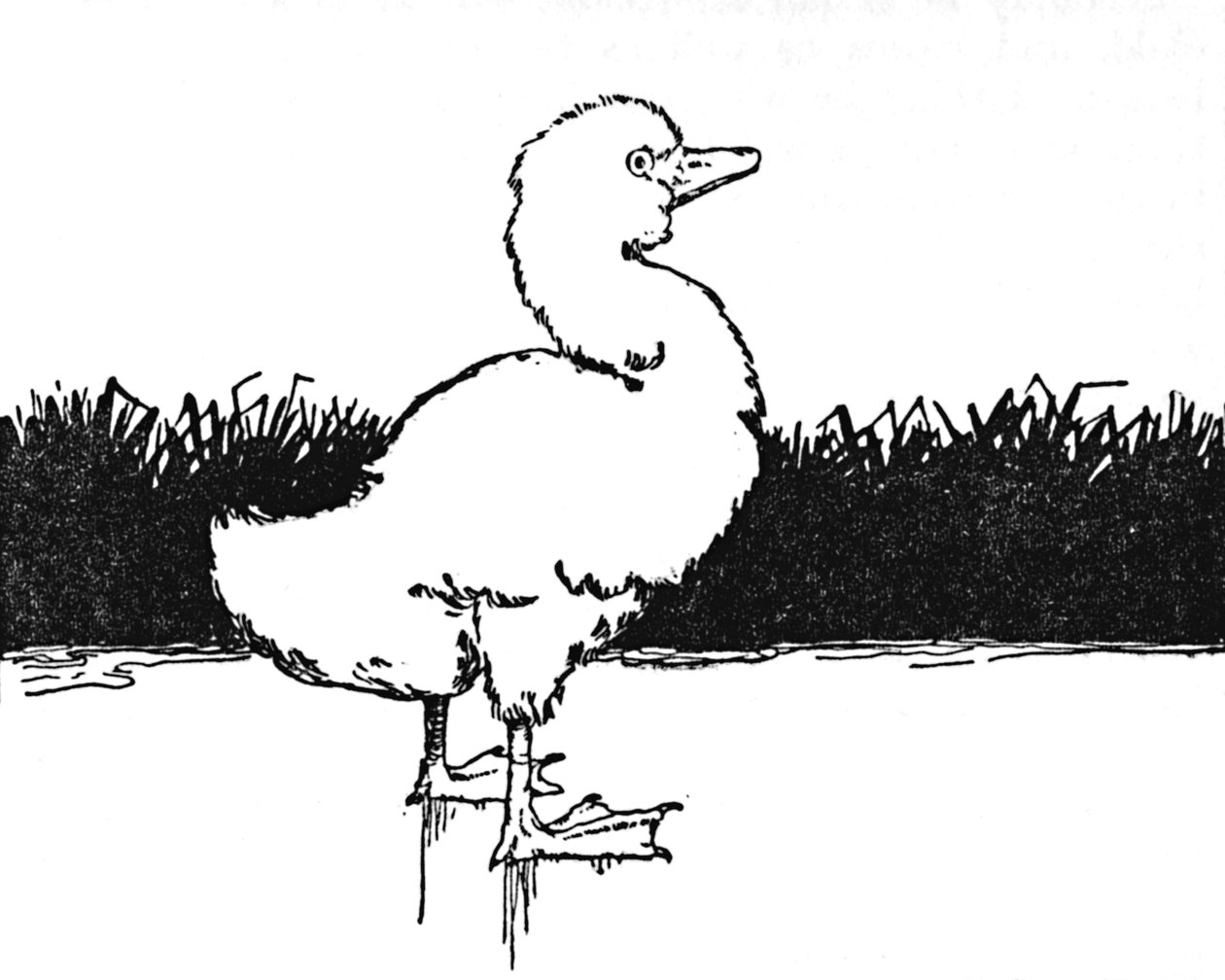 Přišel do širokého vřesoviště, c1930 od William Heath Robinson