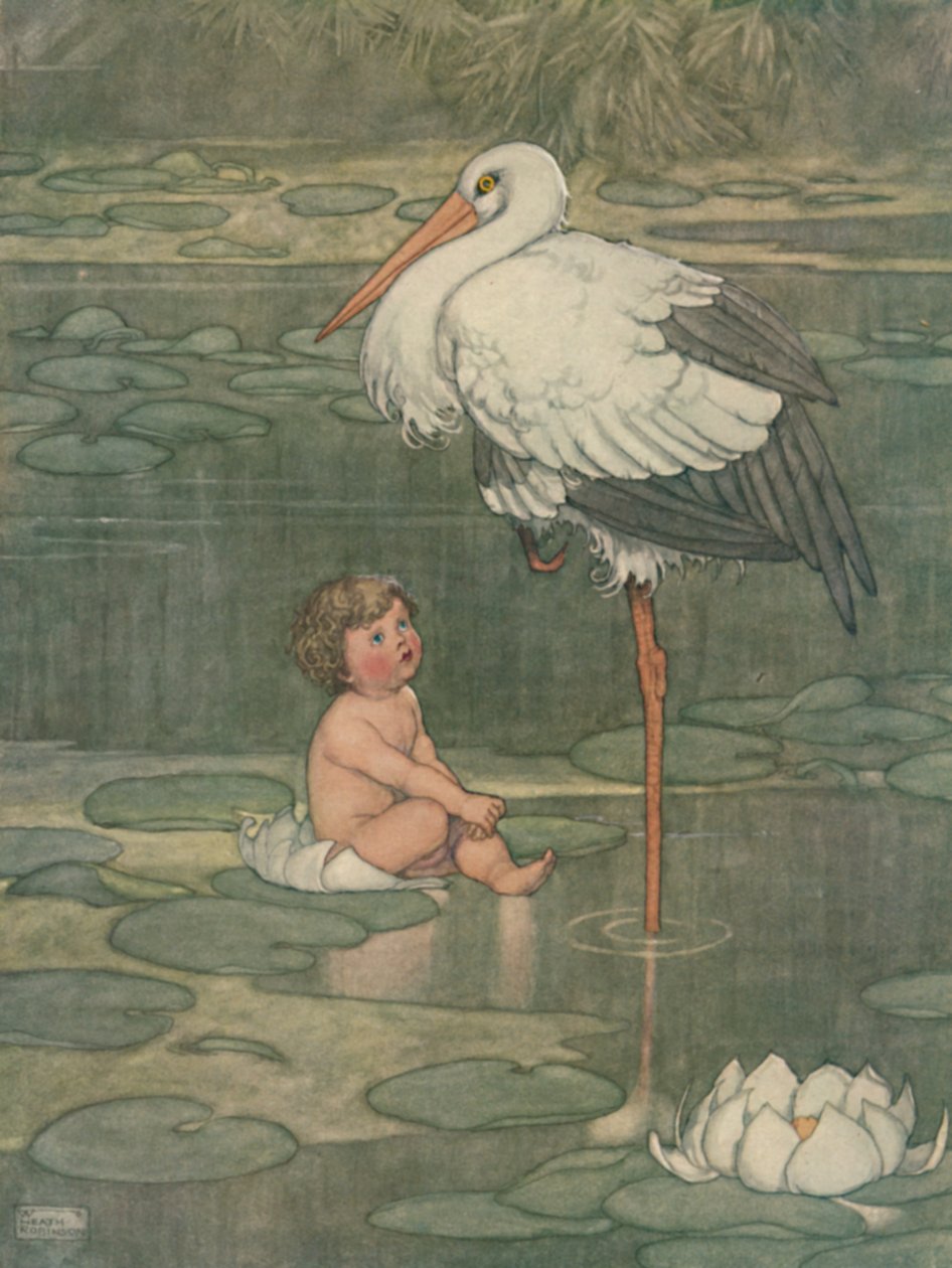 Poupě se otevřelo do plného květu, c1930 od William Heath Robinson