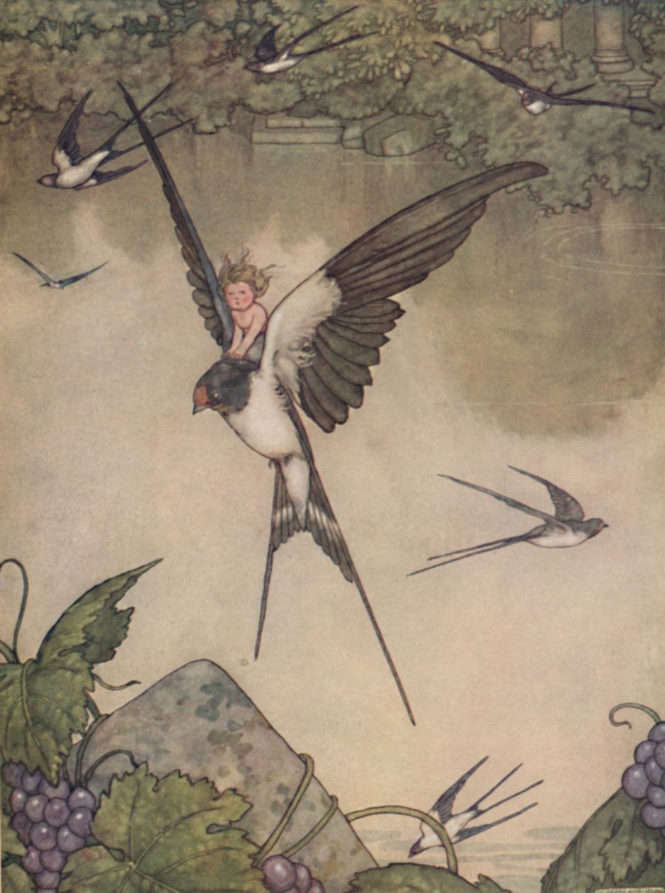 Ano, půjdu s tebou! Řekl Tommelise, c1930 od William Heath Robinson