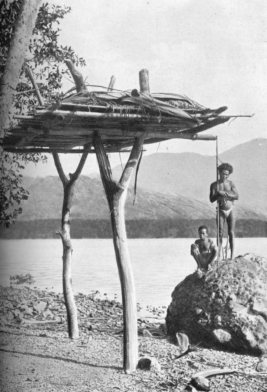 Zádušní platforma na Nové Guineji, 1902 od W. Lindt