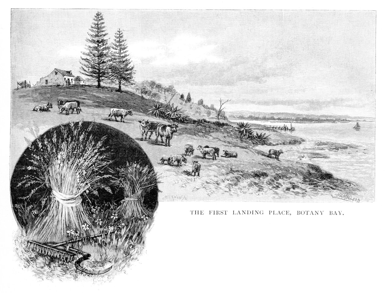 První místo přistání, Botany Bay, New South Wales, Austrálie, 1886. od W. Macleod