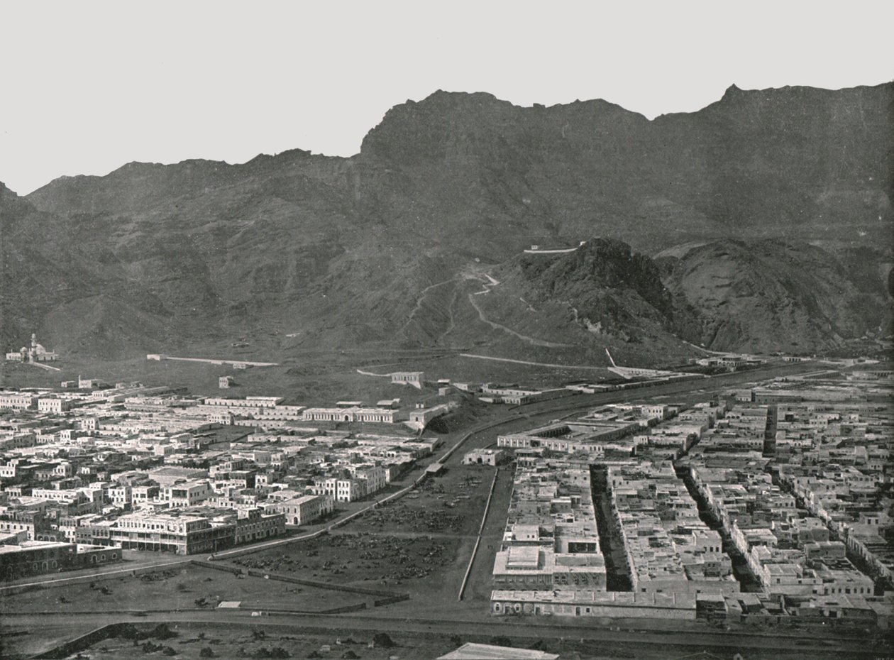 Celkový pohled ukazující Camel Market, Aden, 1895. od W and S Ltd
