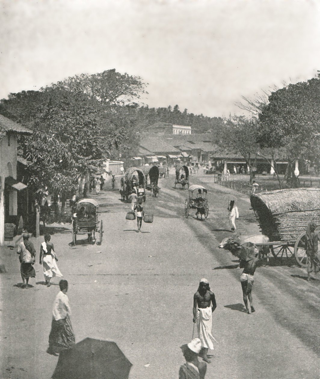 Pouliční scéna poblíž radnice, Colombo, Ceylon, 1895. od W and S Ltd
