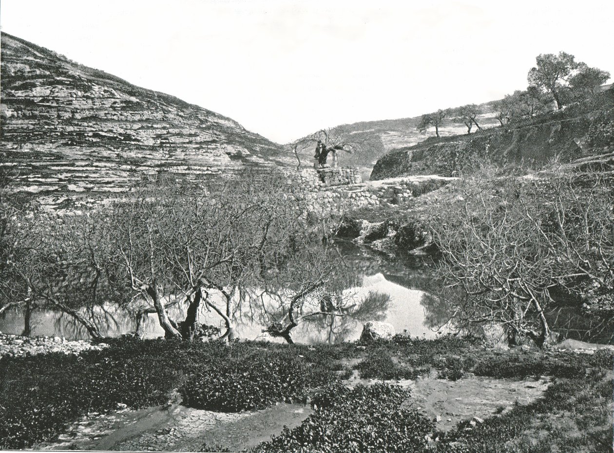 Pool of Siloam, Jeruzalém, Palestina, 1895. od W and S Ltd