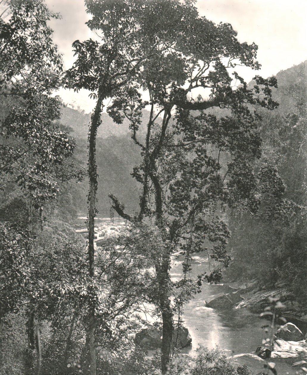 Pohled na řeku Kelani, Kurunegala, Ceylon, 1895. od W and S Ltd