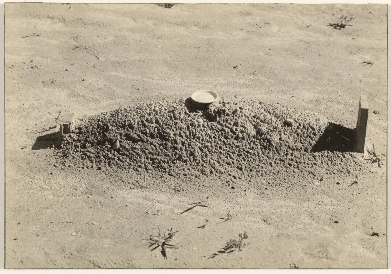 Baptistický hrob, Hale County, Alabama od Walker Evans