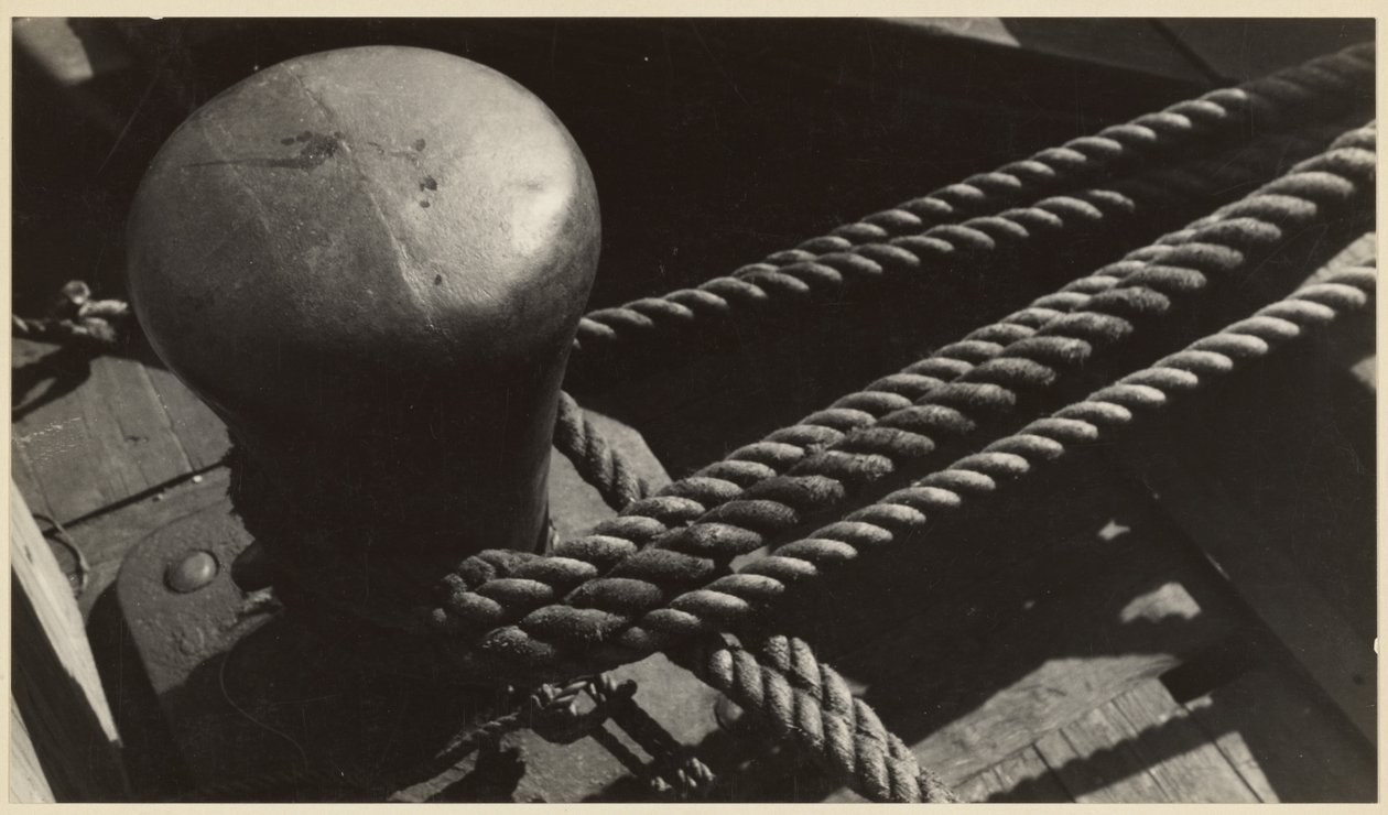 Přístav New York od Walker Evans