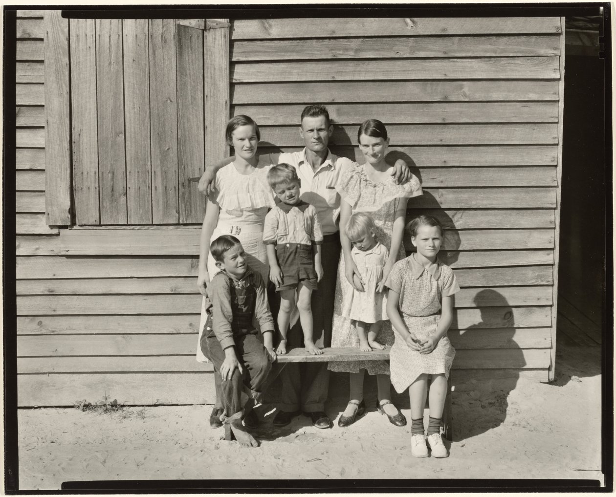 Sharecropper