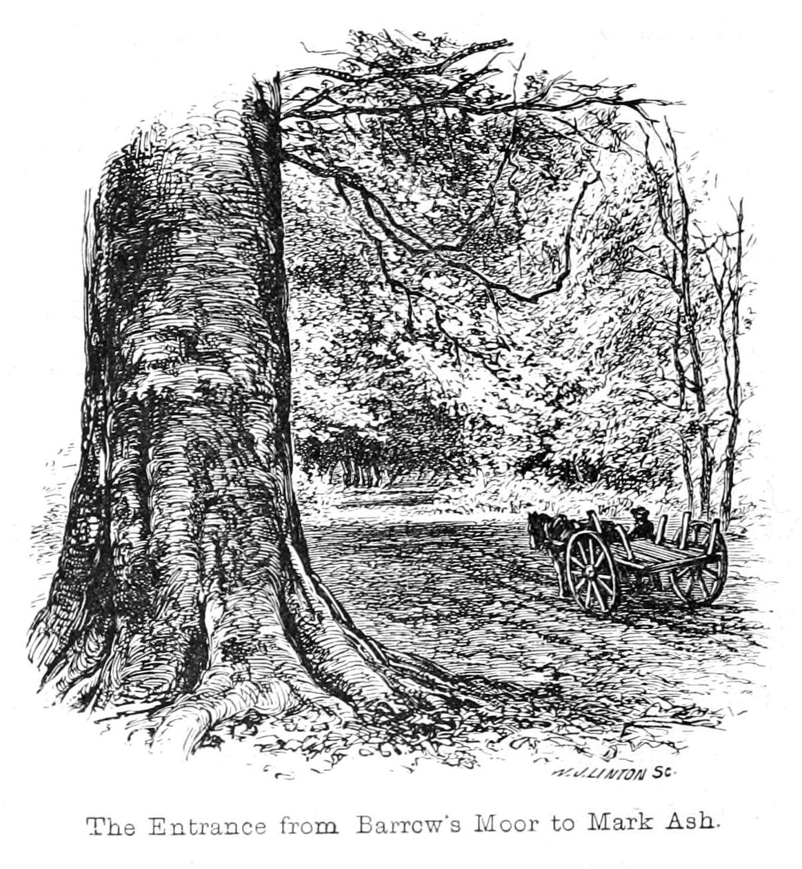 Vchod z Barrows Moor do Mark Ash od Walter Crane