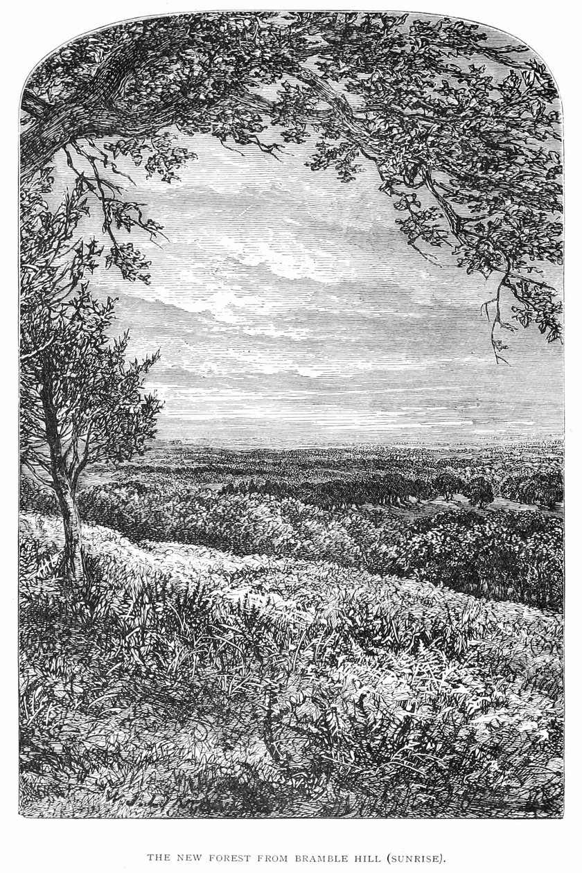 New Forest, jeho historie a krajina od Walter Crane