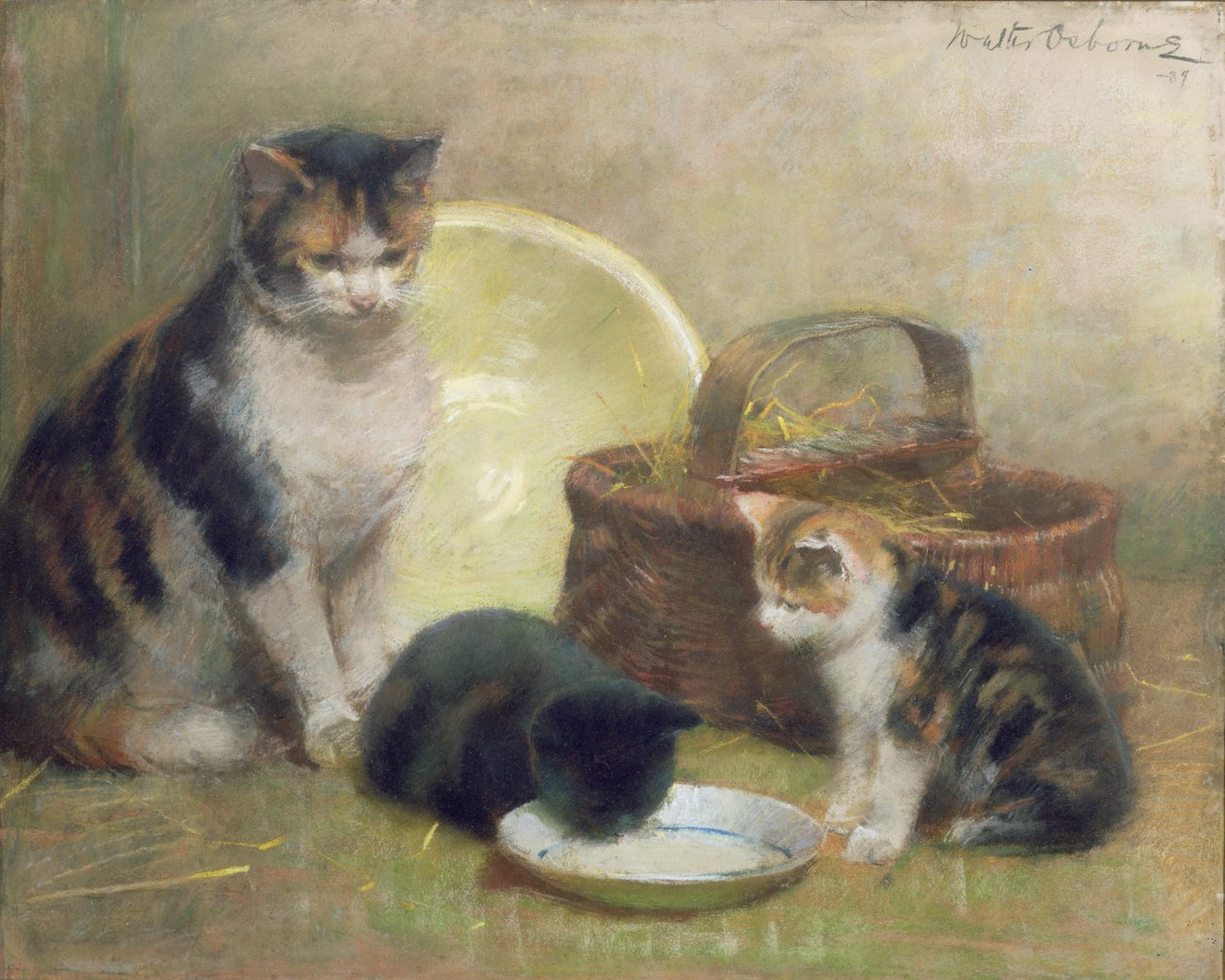Kočka a koťata, 1889 (pastel) od Walter Frederick Osborne