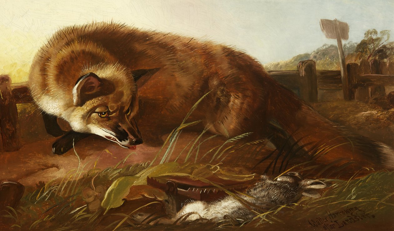 Fox, kolem roku 1880 od Walter Harrowing