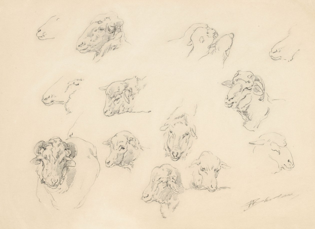 Studie ovčích hlav, 1877 (grafit na lesklém papíru) od Walter Shirlaw