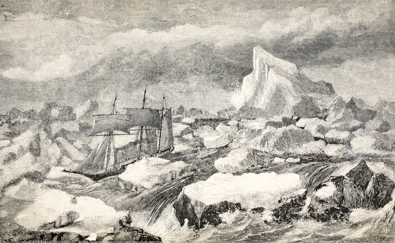 Liška vystupující z valícího se balíku, 1859 od Walter William May