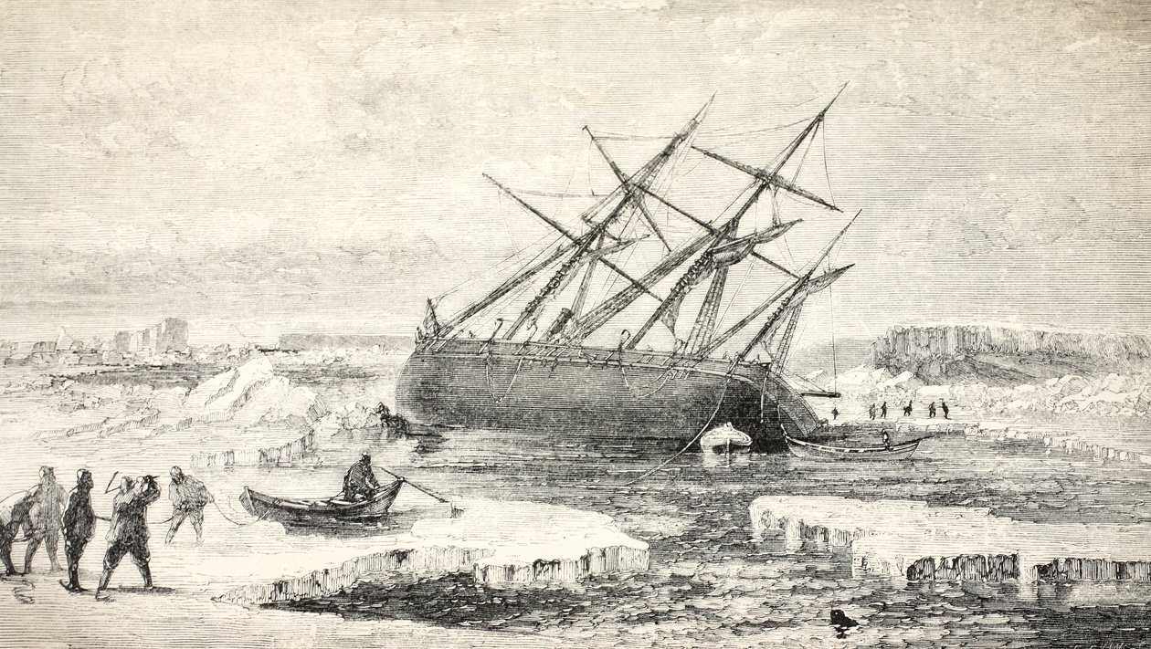 Liška na skále poblíž ostrova Buchan, 1859 od Walter William May