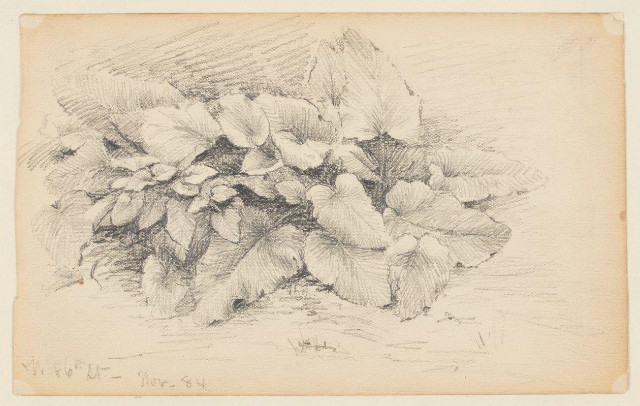 Studie závodu, West 86th Street od Walter Clark