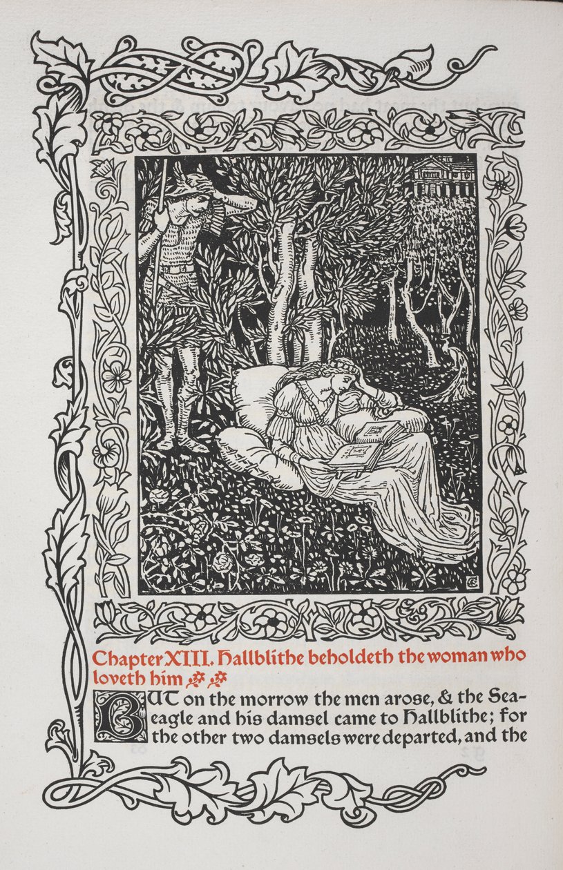 Kapitola XIII. Hallblithe vidí ženu, která ho miluje. od Walter Crane