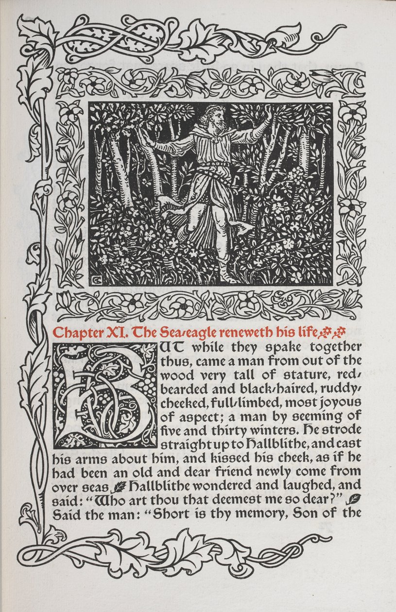 Kapitola XI. Orel mořský obnovuje svůj život. od Walter Crane