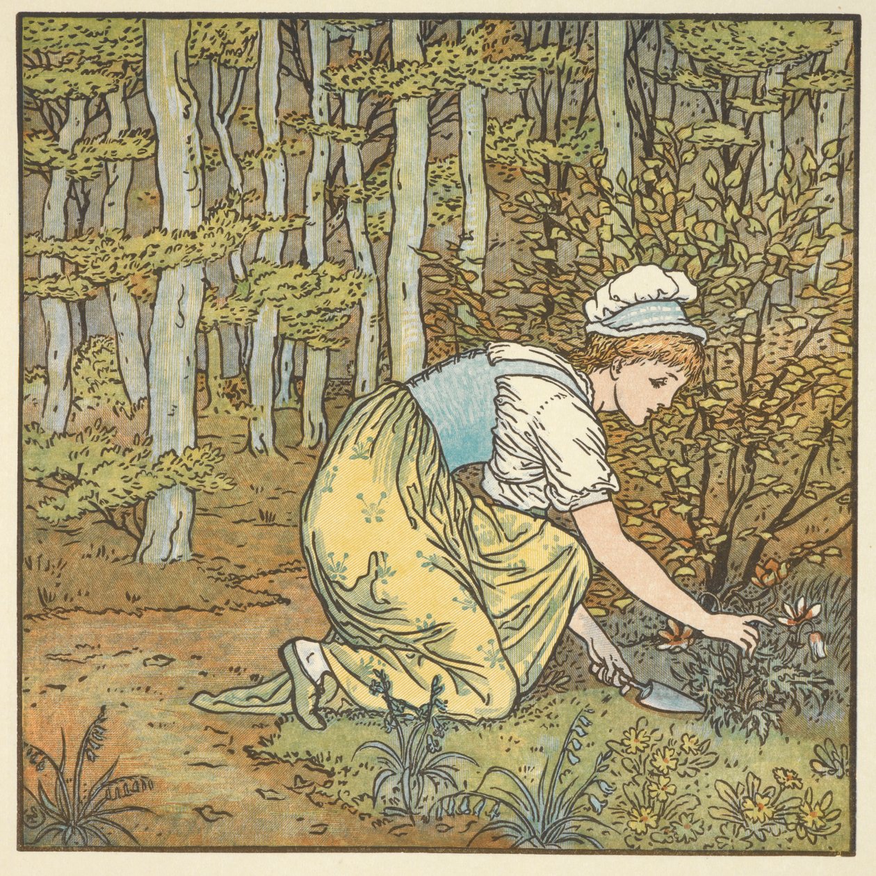 Barevná ilustrace pro 