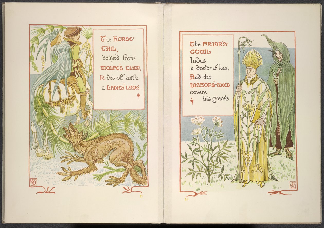 Koňský ocas a mnichův kryt od Walter Crane