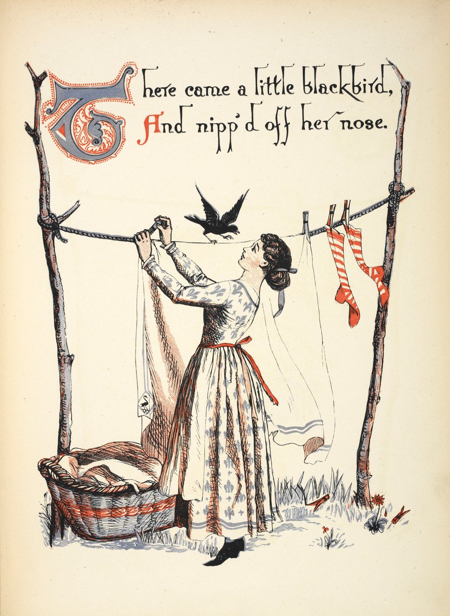 Přiletěl malý kos a ukousl jí nos. od Walter Crane