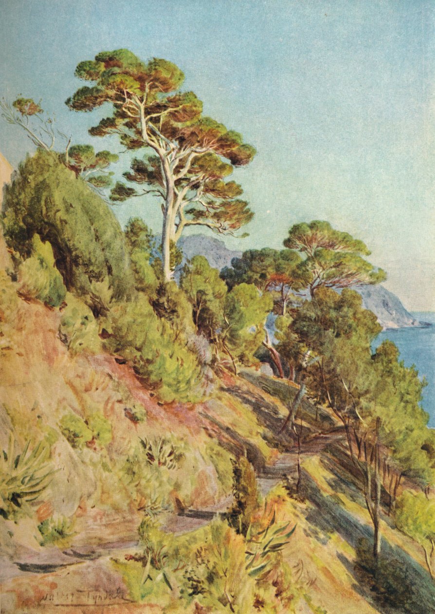 Ve vile Piuma, Sestri Levante, c1910, 1912 od Walter Frederick Roofe Tyndale