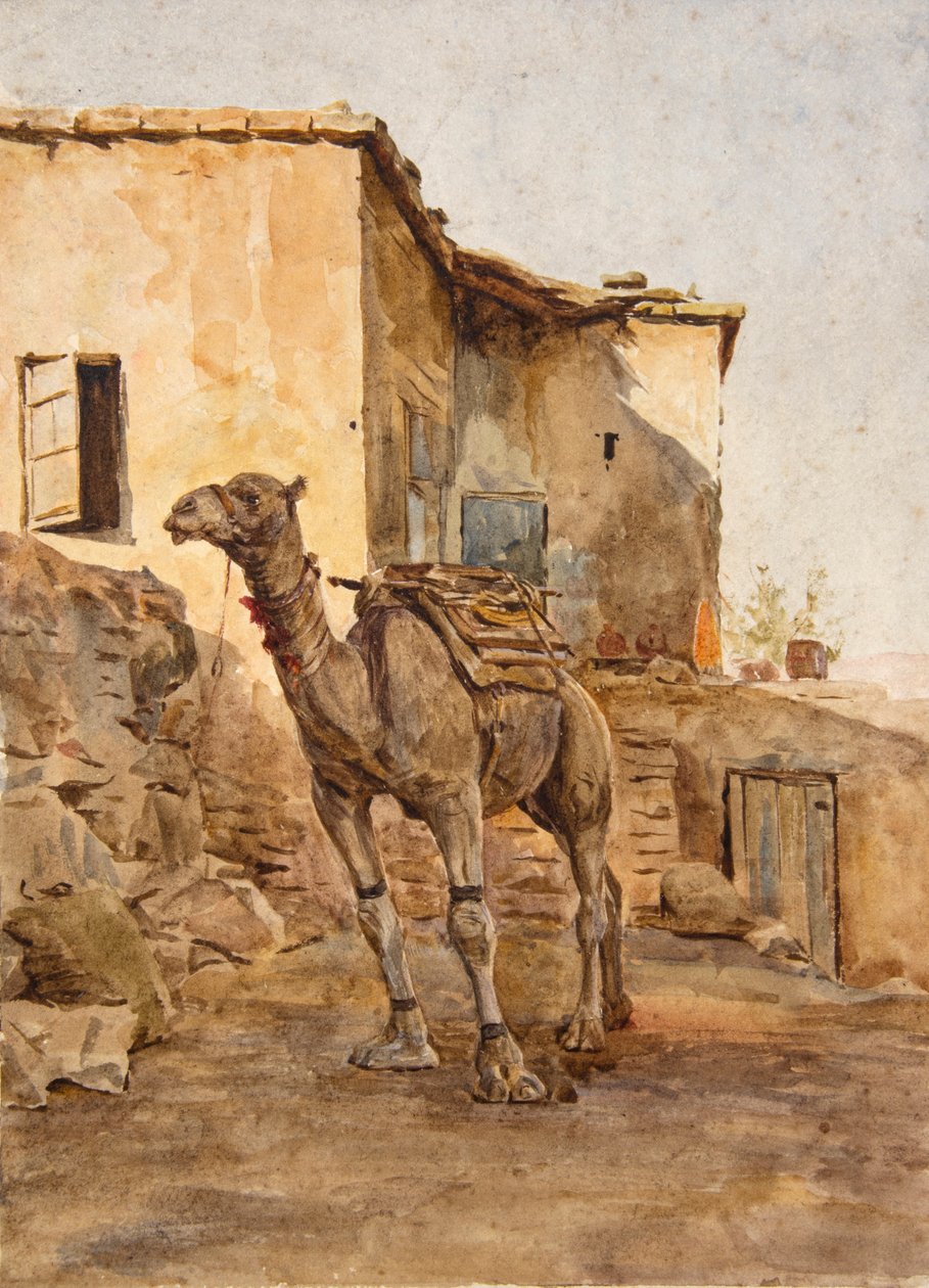 Uvázaný velbloud (akvarel) od Walter Frederick Roofe Tyndale