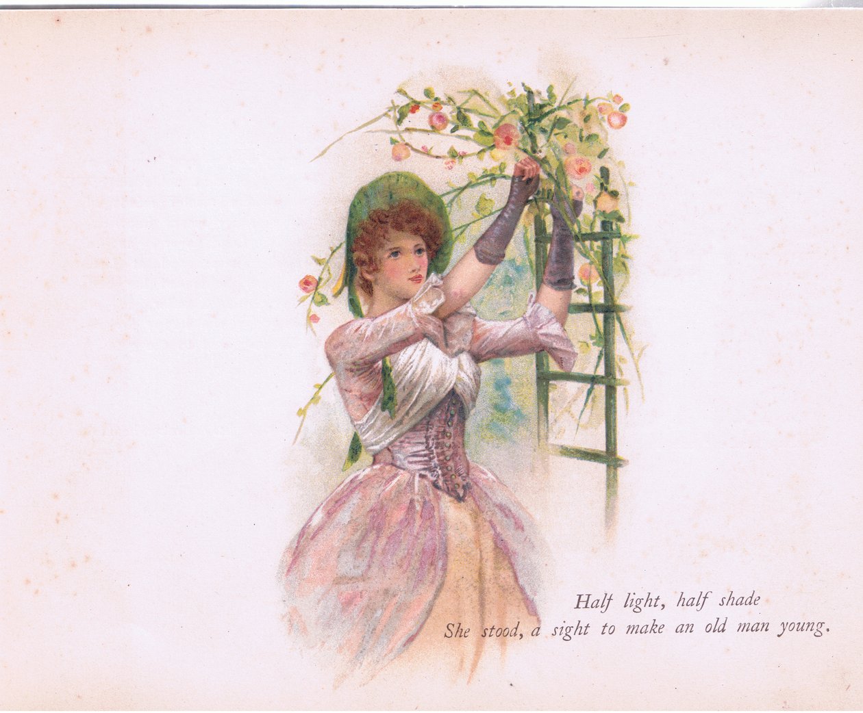 Polosvětlo, polostín, ilustrace z Tennyson Pictures vydané E P Dutton & Co, kolem 1900 (barevné lito) od Walter Paget
