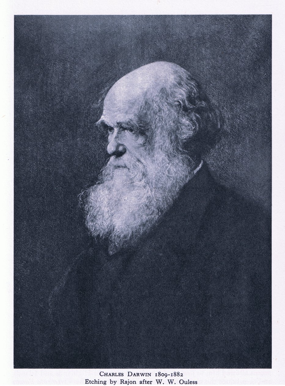 Etching of Charles Darwin, Nature in Britain vydané nakladatelstvím Collins od Walter William (after) Ouless