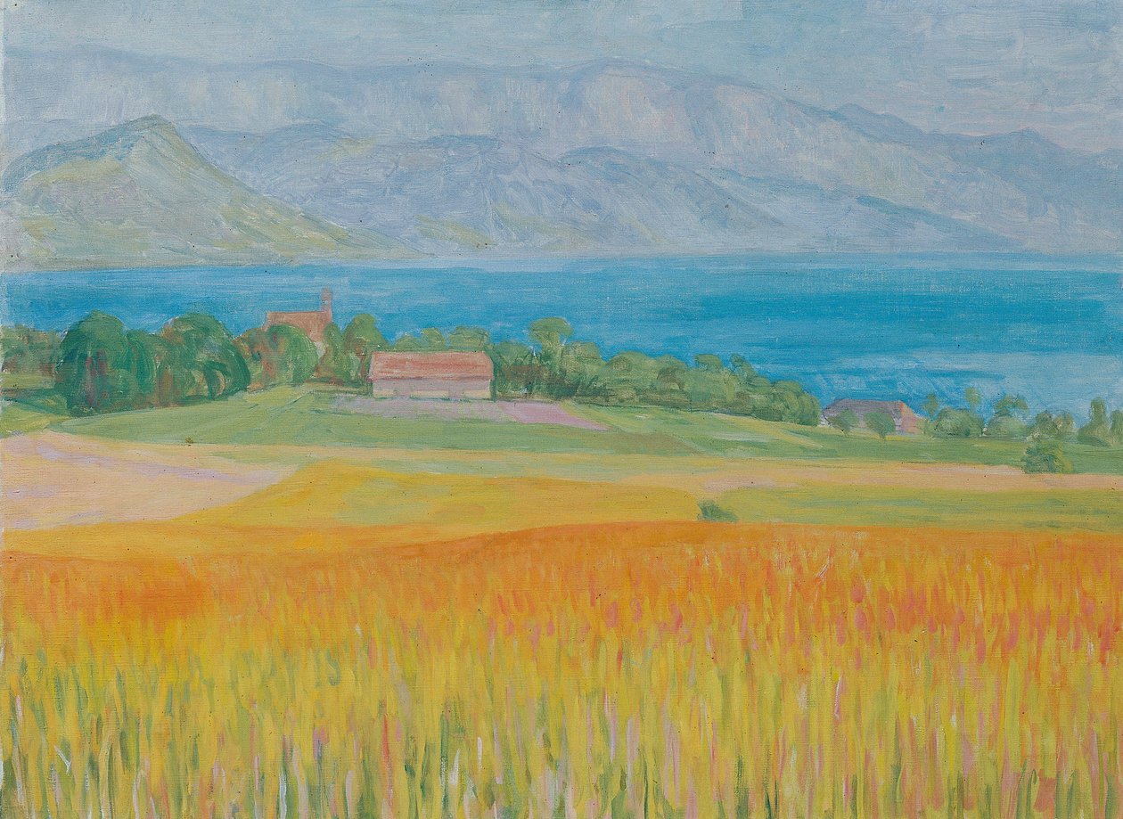 Kornfeld am Attersee od Walther Gamerith