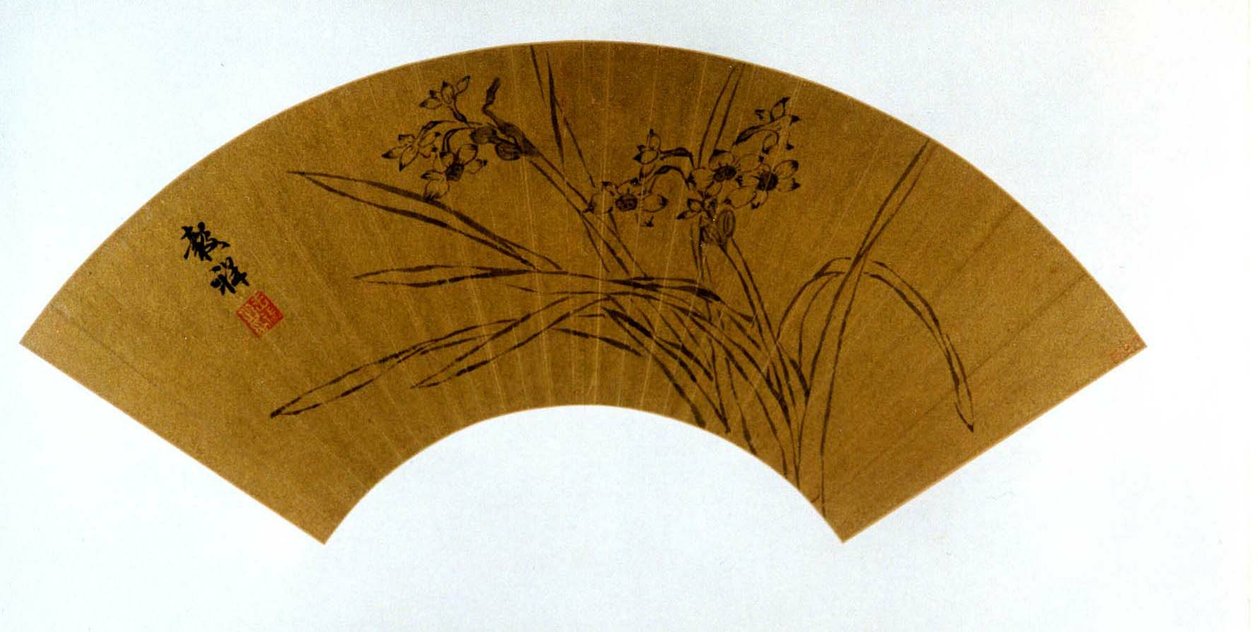 Narcis od Wang Guxiang