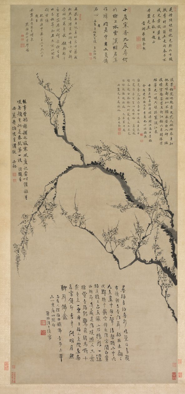 Švestkové květy od Wang Shishen
