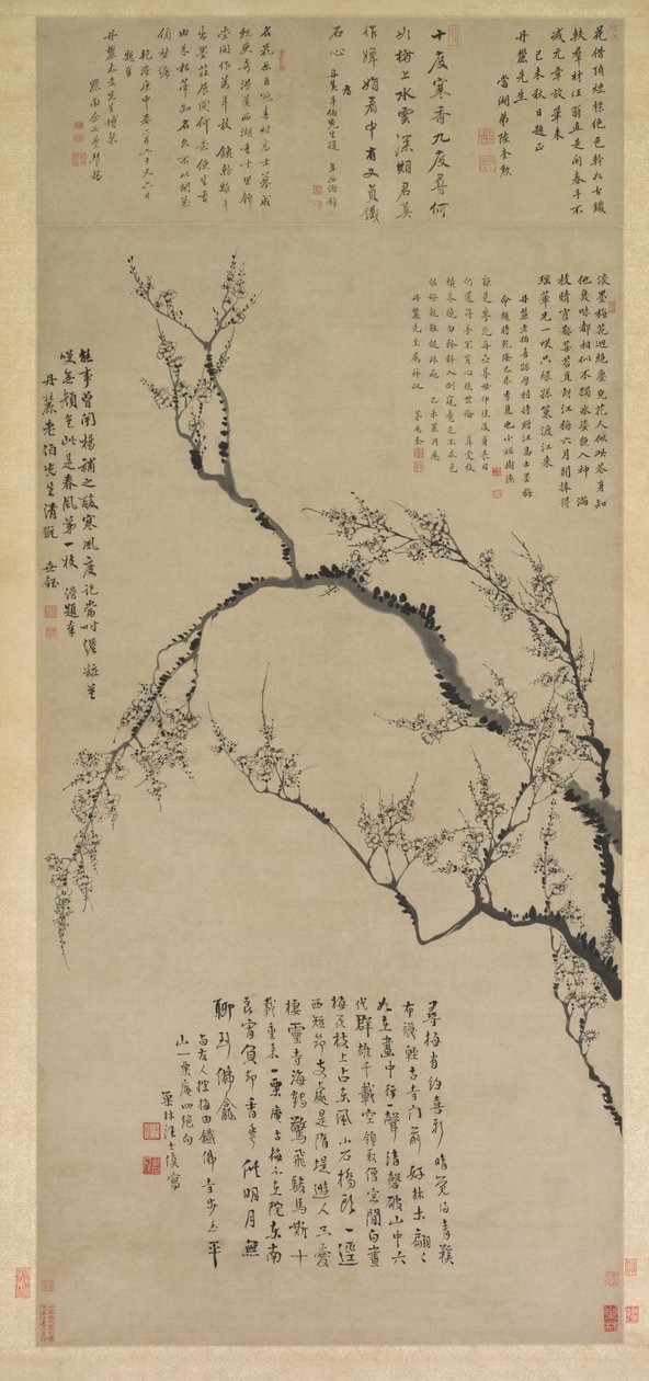 Švestkové květy, 1747. od Wang Shishen