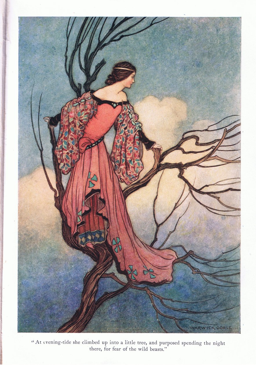 Při večerním přílivu vylezla od Warwick Goble
