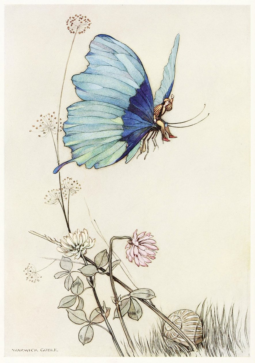 Motýl vzal křídlo a vzlétl do vzduchu s malým Tomem na zádech, z hospody The Fairy Book. 1913 od Warwick Goble