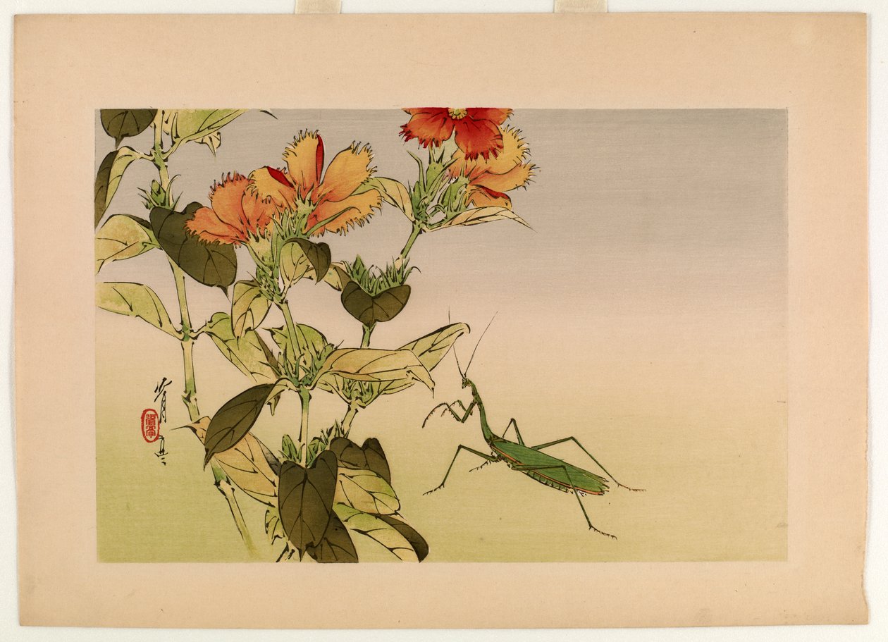 Campion Flower and Praying Mantis, ze série Seitei
