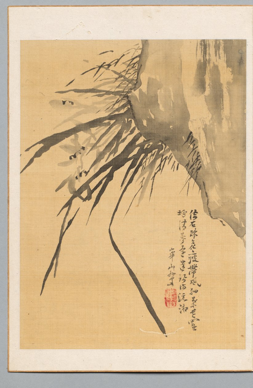 Orchidej od Watanabe Kazan