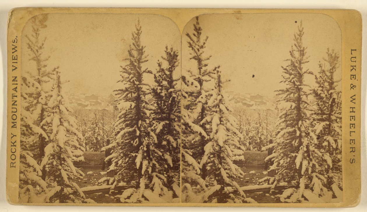[Stromy se sněhem, Leadville, Colorado] od Wellington O. Luke and Dansford Noble Wheeler