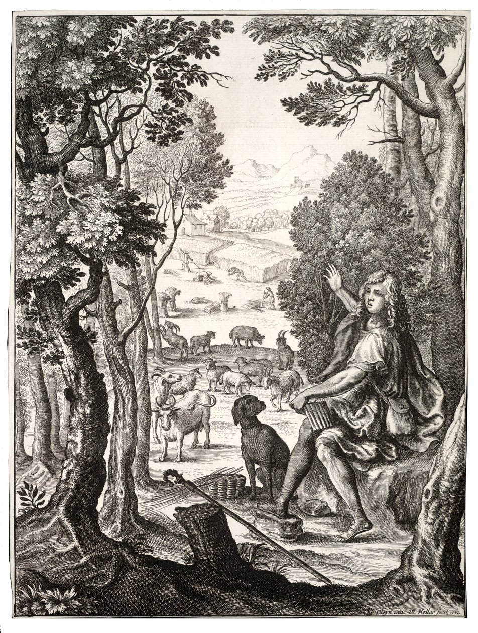Alexis od Wenceslaus Hollar